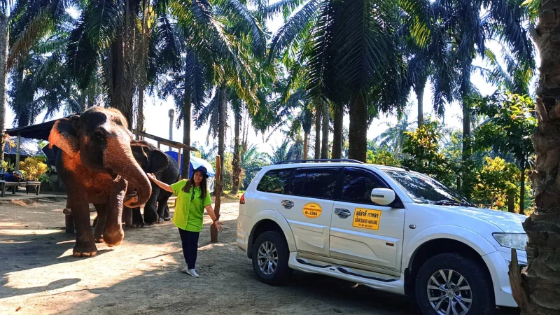 Krabi taxi with elephants